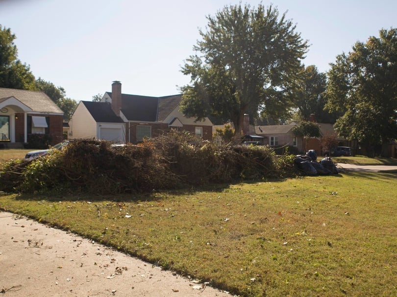 The huge mounds of honeysuckle that were cleared by the neighbors in mere hours.