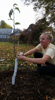 PlantingTrees (1)