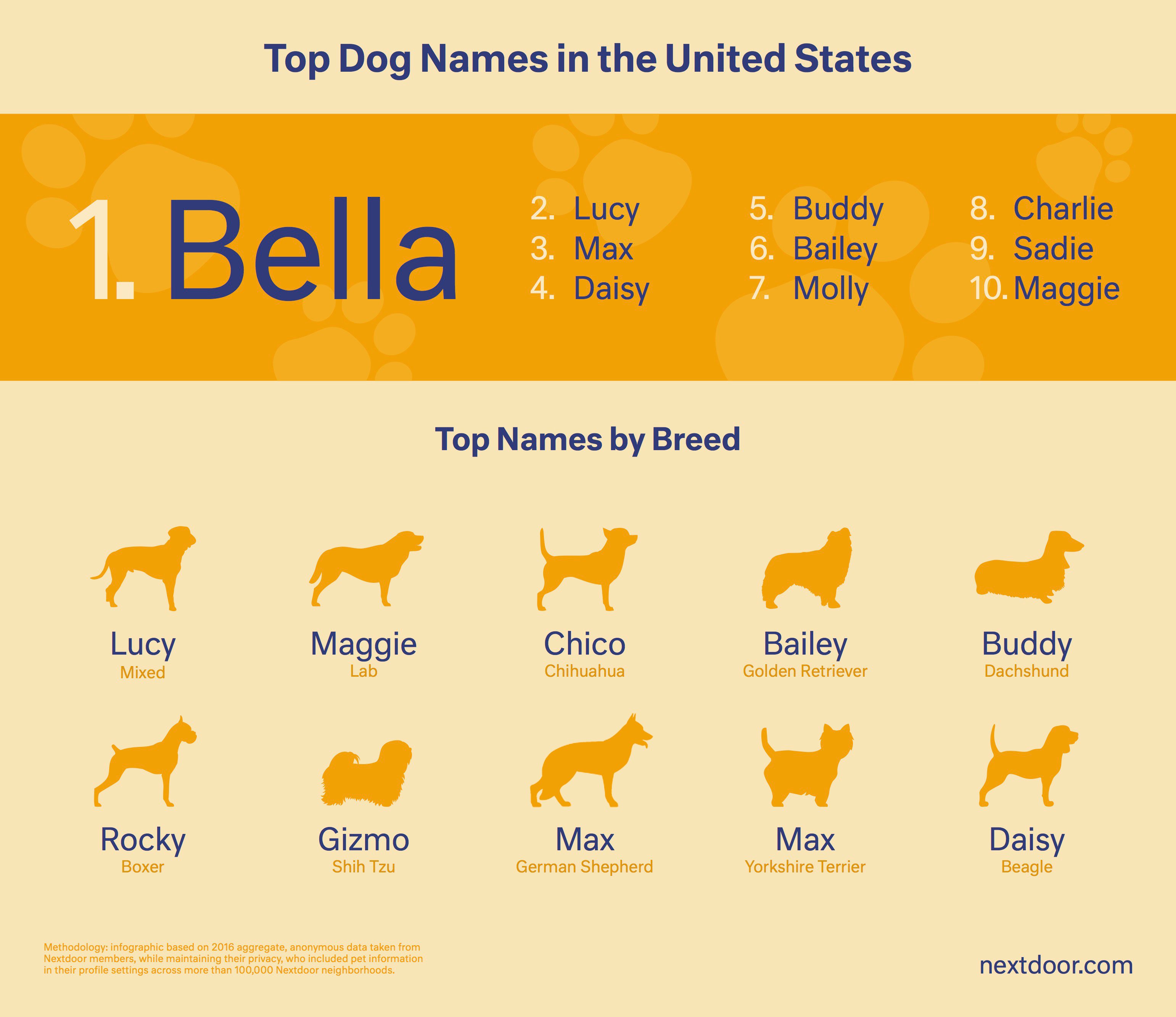 TopDogNames_2016 (1)