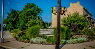 Community Gardens
