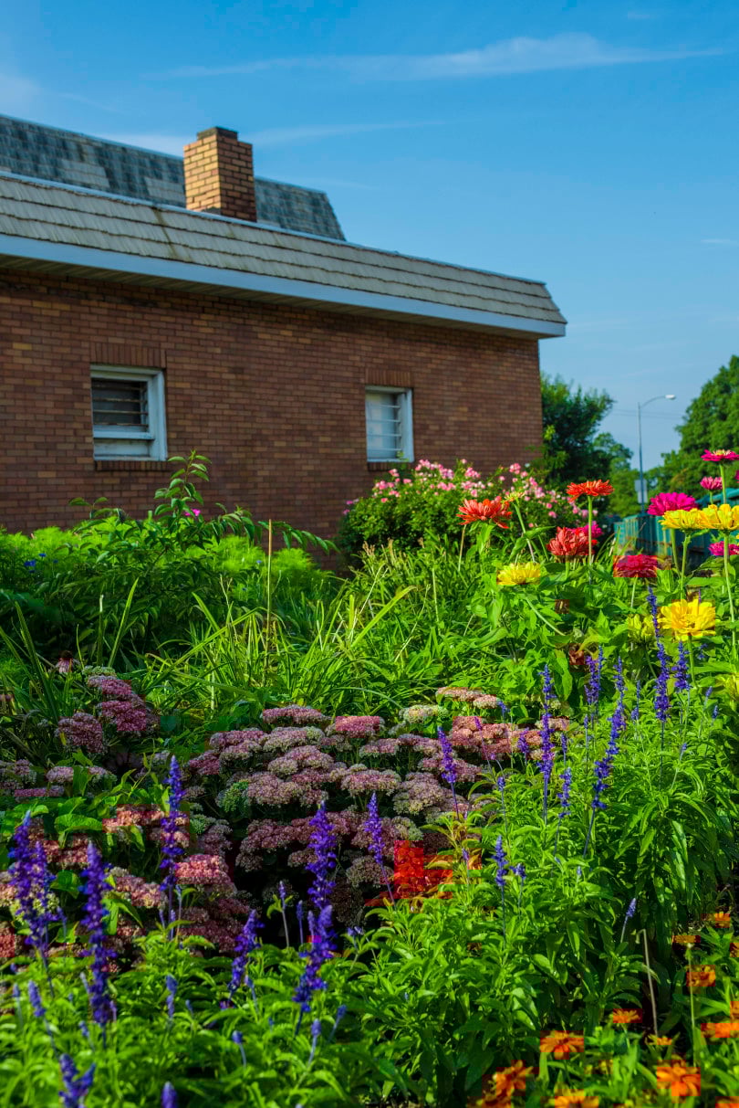 Community Gardens