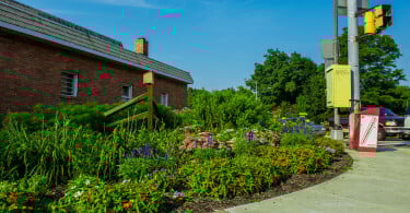 Community Gardens