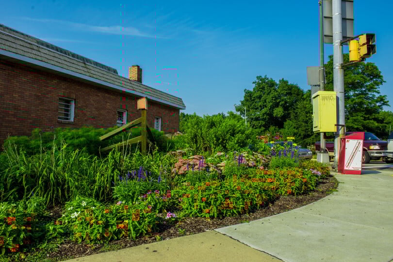 Community Gardens