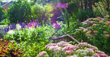 Community Gardens