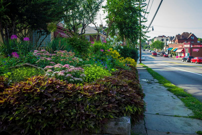 Community Gardens