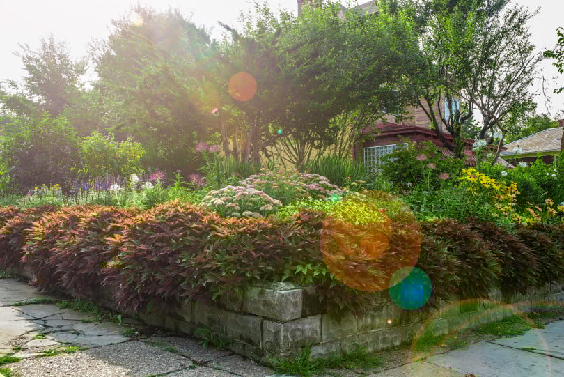 Community Gardens
