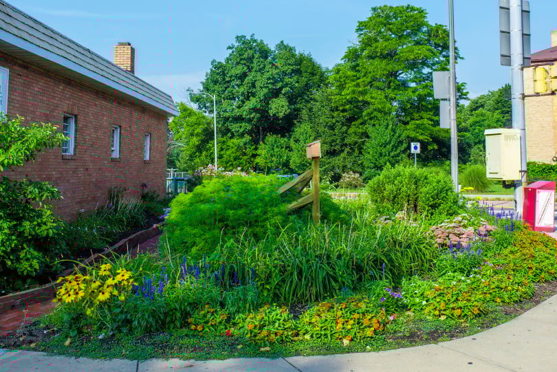 Community Gardens