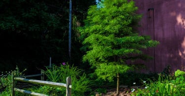 Community Gardens