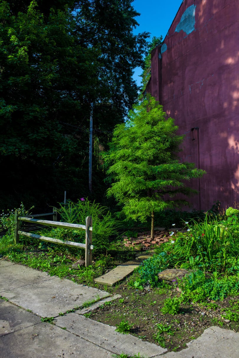 Community Gardens