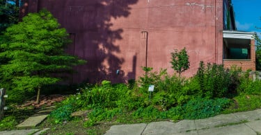 Community Gardens