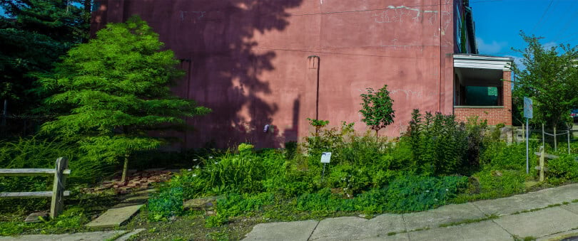 Community Gardens